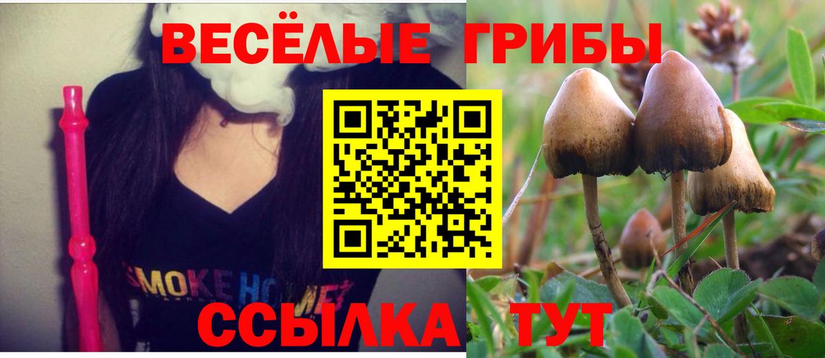 Тобольск  Псилоцибиновые грибы мухоморы  Вход с VPN  цены   Галлюциногенные грибы GOLDEN TEACHER 